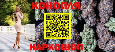 Альфа ПВП Анапа